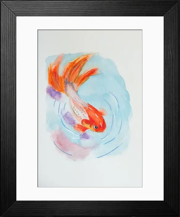 Framed Print : Watercolor. Illustration of goldfish in water. White background Framed Print : Watercolor. Illustration of goldfish in water. White background