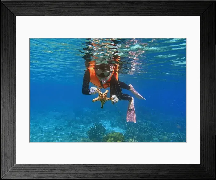 Framed Print : Indonesia Bunaken - Marine life Coral reef with Starfish Framed Print : Indonesia Bunaken - Marine life Coral reef with Starfish