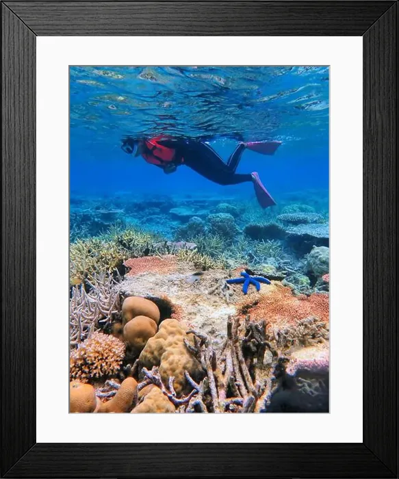 Framed Print : Indonesia Anambas Islands - Woman snorkeling in coral reef Framed Print : Indonesia Anambas Islands - Woman snorkeling in coral reef