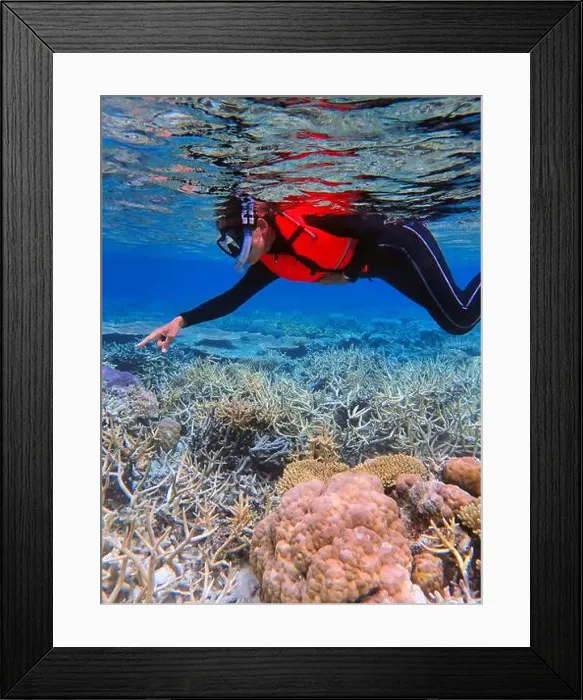 Framed Print : Indonesia Anambas Islands - Woman snorkeling in coral reef Framed Print : Indonesia Anambas Islands - Woman snorkeling in coral reef
