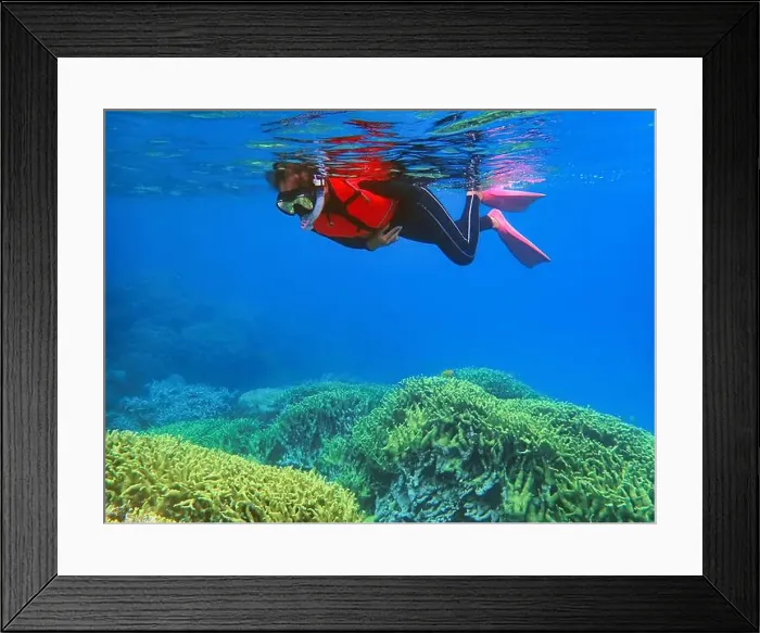 Framed Print : Indonesia Anambas Islands - Woman snorkeling in coral reef Framed Print : Indonesia Anambas Islands - Woman snorkeling in coral reef