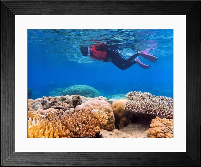 Framed Print : Indonesia Anambas Islands - Woman snorkeling in coral reef Framed Print : Indonesia Anambas Islands - Woman snorkeling in coral reef