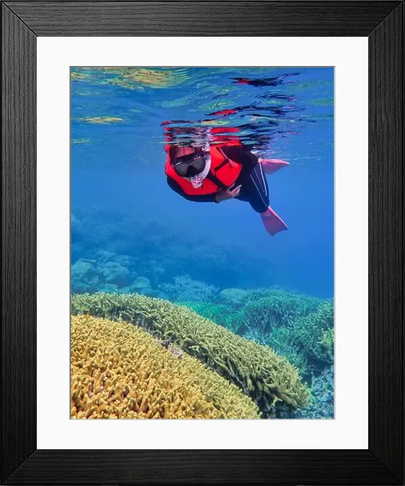 Framed Print : Indonesia Anambas Islands - Woman snorkeling in coral reef Framed Print : Indonesia Anambas Islands - Woman snorkeling in coral reef