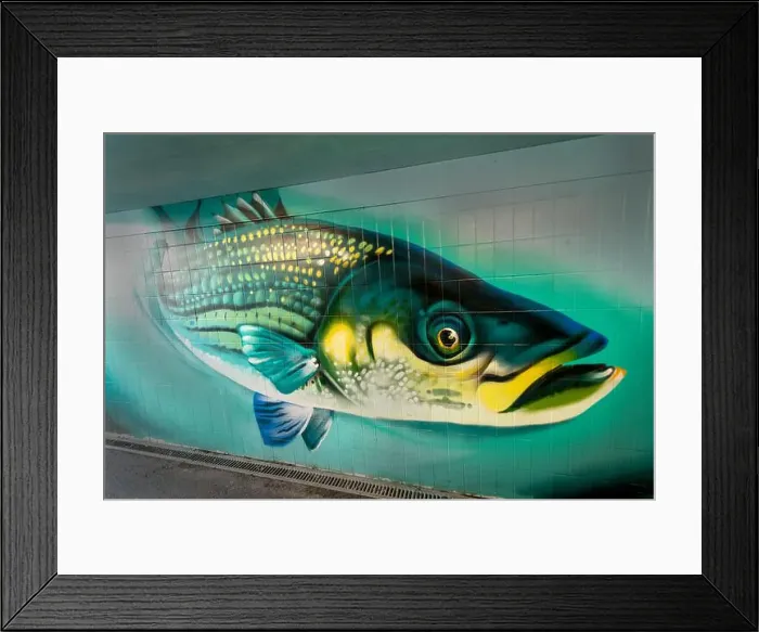 Framed Print : A mural of pike-like fish painted in the hibiscus walk subway Porthcawl, UK Framed Print : A mural of pike-like fish painted in the hibiscus walk subway Porthcawl, UK