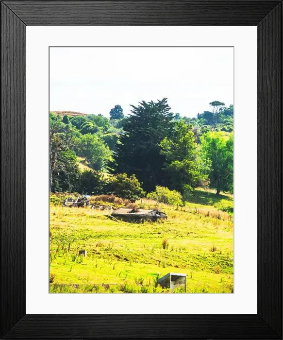 Framed Print : My Partner and I (mostly my partner) have been planning on traveling across the South Island for the pass year Framed Print : My Partner and I (mostly my partner) have been planning on traveling across the South Island for the pass year