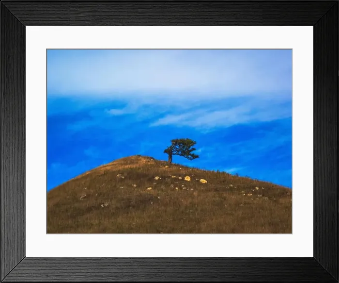 Framed Print : My Partner and I (mostly my partner) have been planning on traveling across the South Island for the pass year Framed Print : My Partner and I (mostly my partner) have been planning on traveling across the South Island for the pass year