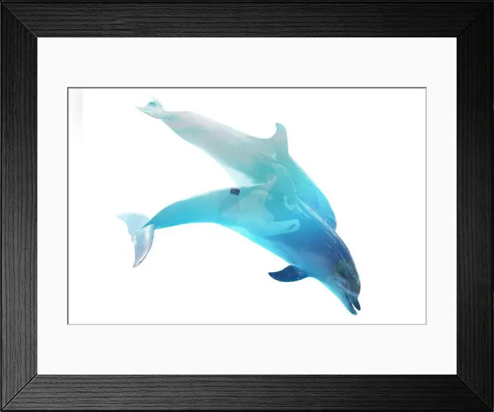 Framed Print : Plastic garbage in ocean and dolphins, double exposure. Environmental pollution Framed Print : Plastic garbage in ocean and dolphins, double exposure. Environmental pollution