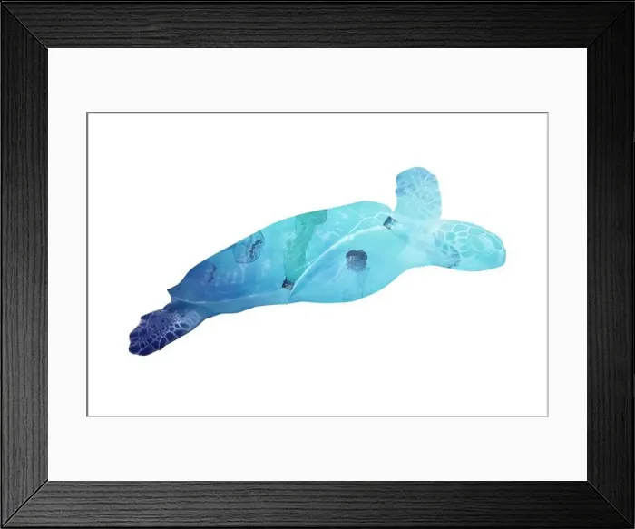 Framed Print : Plastic garbage in ocean and turtle, double exposure. Environmental pollution Framed Print : Plastic garbage in ocean and turtle, double exposure. Environmental pollution