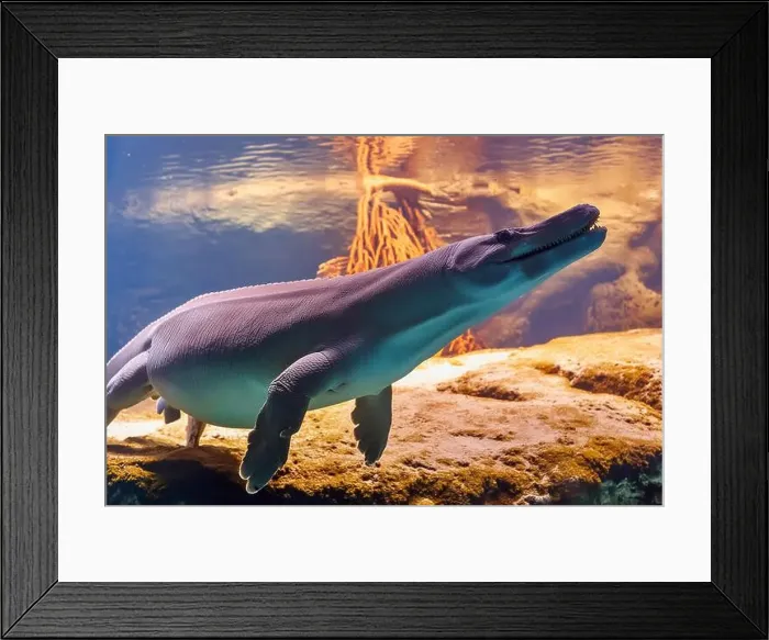 Framed Print : Mosasaurus lizard of the Meuse River') is the type genus (defining example) of the mosasaurs Framed Print : Mosasaurus lizard of the Meuse River') is the type genus (defining example) of the mosasaurs