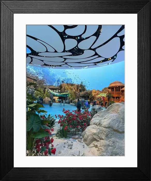 Framed Print : SeaWorld Yas Island, Abu Dhabi, a marine life theme park and animal researching, rescue rehabilitation center Framed Print : SeaWorld Yas Island, Abu Dhabi, a marine life theme park and animal researching, rescue rehabilitation center