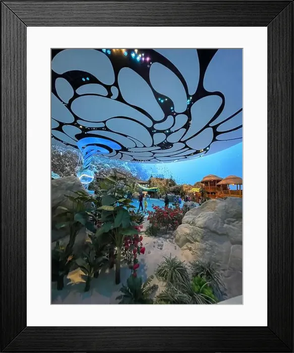 Framed Print : SeaWorld Yas Island, Abu Dhabi, a marine life theme park and animal researching, rescue rehabilitation center Framed Print : SeaWorld Yas Island, Abu Dhabi, a marine life theme park and animal researching, rescue rehabilitation center