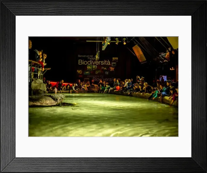 Framed Print : Aquarium of Genova. Large oceanarium near the port: aquariums with a recreated ecosystem Framed Print : Aquarium of Genova. Large oceanarium near the port: aquariums with a recreated ecosystem