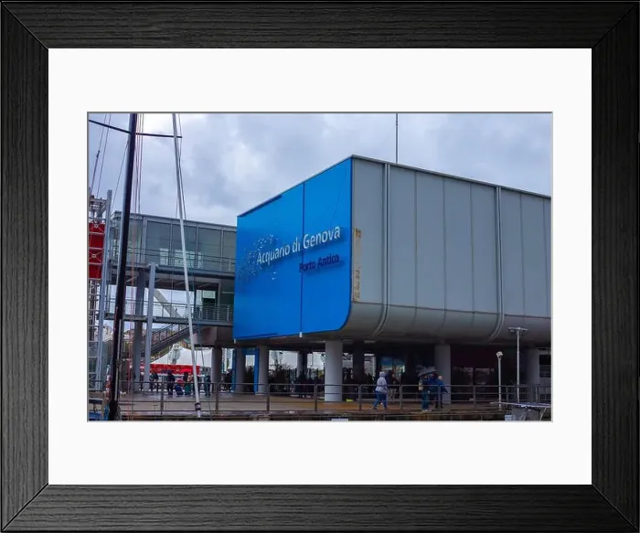 Framed Print : Aquarium of Genova. Large oceanarium near the port: aquariums with a recreated ecosystem Framed Print : Aquarium of Genova. Large oceanarium near the port: aquariums with a recreated ecosystem