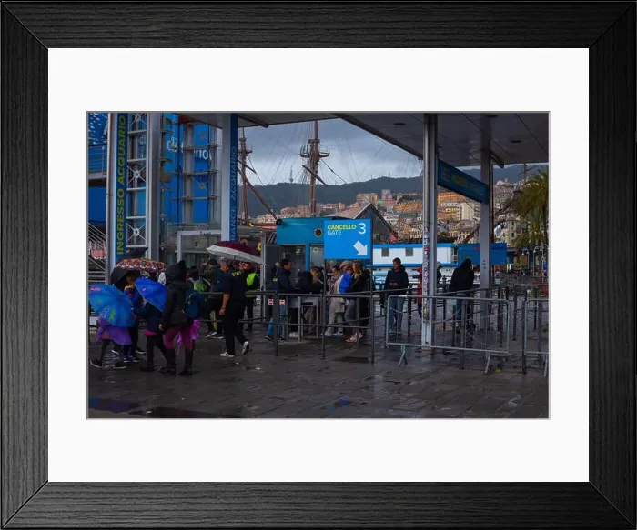 Framed Print : Aquarium of Genova. Large oceanarium near the port: aquariums with a recreated ecosystem Framed Print : Aquarium of Genova. Large oceanarium near the port: aquariums with a recreated ecosystem