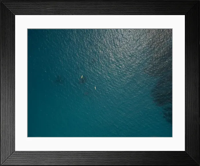 Framed Print : A playful pod of dolphins aerial shot in Cortez sea, Baja California Sur Mexico drone view Framed Print : A playful pod of dolphins aerial shot in Cortez sea, Baja California Sur Mexico drone view