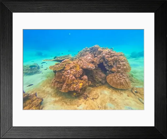 Framed Print : Underwater coral reef. View swim float coral reef starfish Framed Print : Underwater coral reef. View swim float coral reef starfish