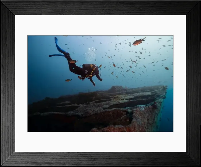 Framed Print : A scuba diver glides over an ancient shipwreck teeming with marine life Framed Print : A scuba diver glides over an ancient shipwreck teeming with marine life