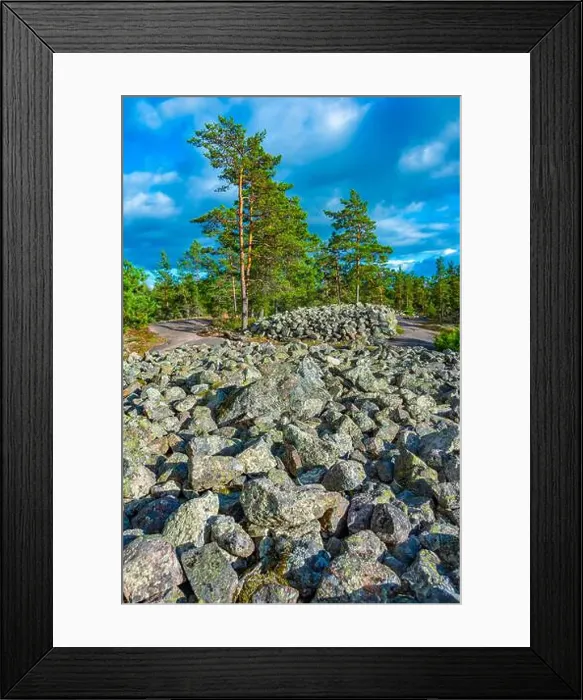 Framed Print : Sammallahdenmäki is a Bronze Age burial site in Finland near Rauma Framed Print : Sammallahdenmäki is a Bronze Age burial site in Finland near Rauma
