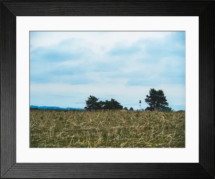 Framed Print : My Partner and I (mostly my partner) have been planning on traveling across the South Island for the pass year Framed Print : My Partner and I (mostly my partner) have been planning on traveling across the South Island for the pass year