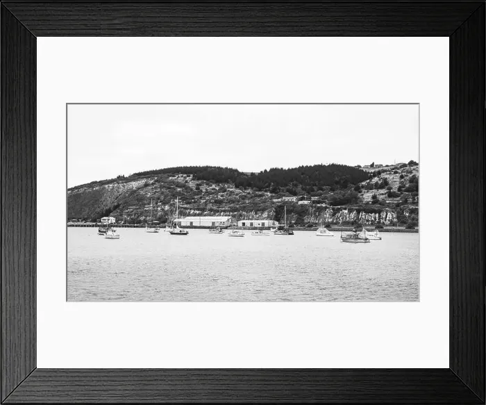 Framed Print : My Partner and I (mostly my partner) have been planning on traveling across the South Island for the pass year Framed Print : My Partner and I (mostly my partner) have been planning on traveling across the South Island for the pass year