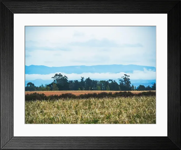 Framed Print : My Partner and I (mostly my partner) have been planning on traveling across the South Island for the pass year Framed Print : My Partner and I (mostly my partner) have been planning on traveling across the South Island for the pass year