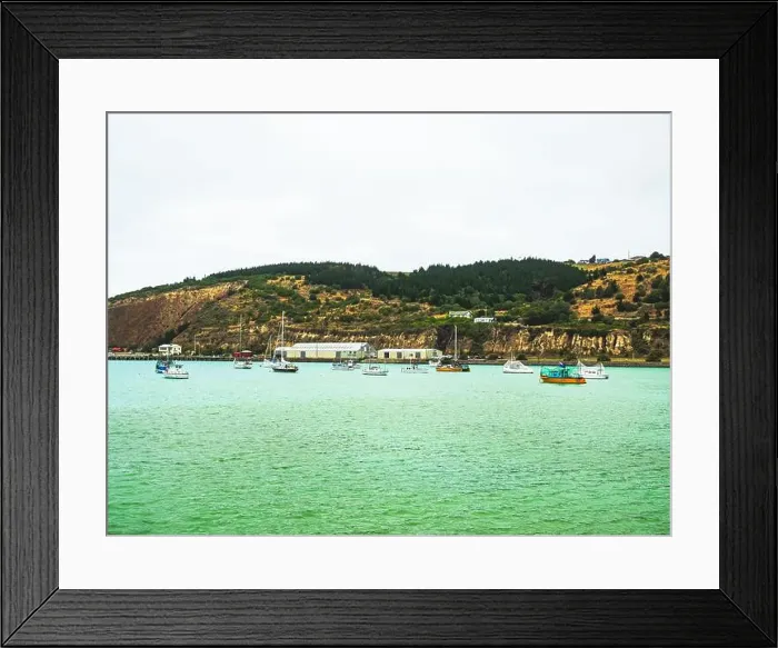 Framed Print : My Partner and I (mostly my partner) have been planning on traveling across the South Island for the pass year Framed Print : My Partner and I (mostly my partner) have been planning on traveling across the South Island for the pass year