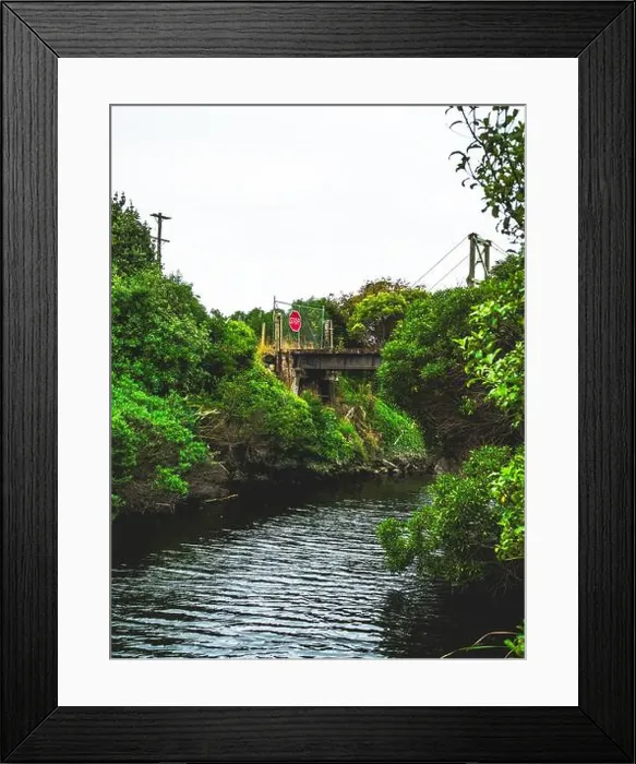 Framed Print : My Partner and I (mostly my partner) have been planning on traveling across the South Island for the pass year Framed Print : My Partner and I (mostly my partner) have been planning on traveling across the South Island for the pass year