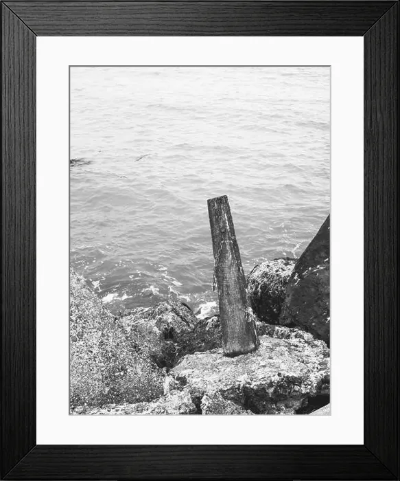 Framed Print : My Partner and I (mostly my partner) have been planning on traveling across the South Island for the pass year Framed Print : My Partner and I (mostly my partner) have been planning on traveling across the South Island for the pass year