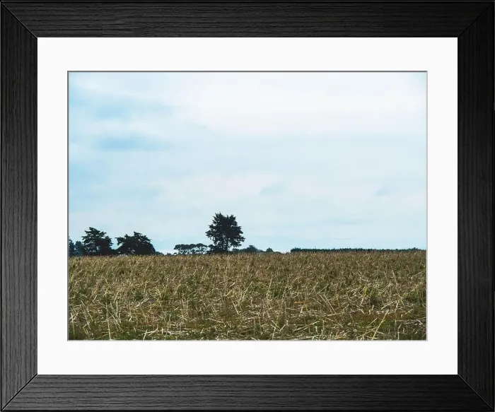 Framed Print : My Partner and I (mostly my partner) have been planning on traveling across the South Island for the pass year Framed Print : My Partner and I (mostly my partner) have been planning on traveling across the South Island for the pass year