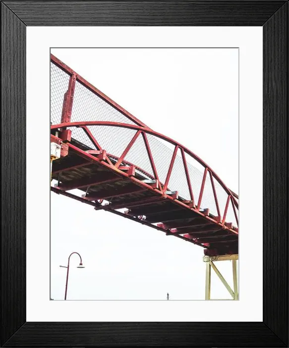 Framed Print : My Partner and I (mostly my partner) have been planning on traveling across the South Island for the pass year Framed Print : My Partner and I (mostly my partner) have been planning on traveling across the South Island for the pass year