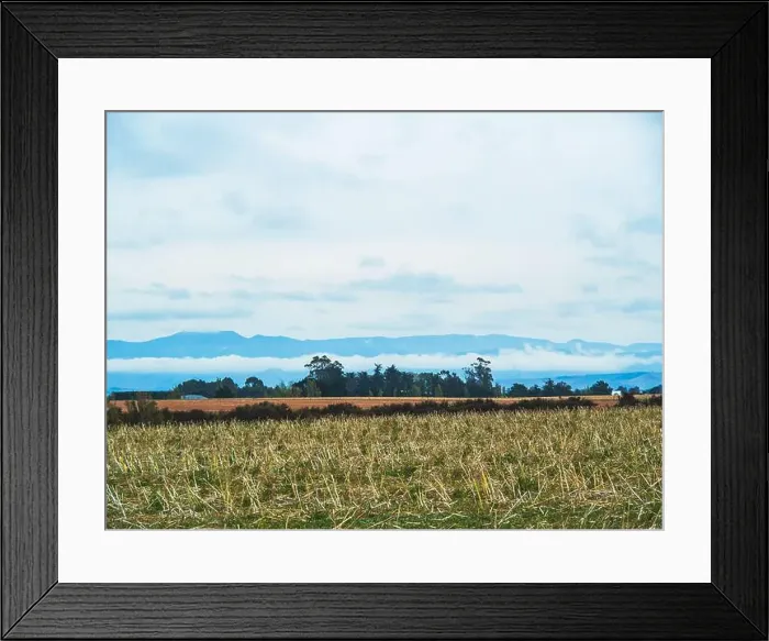 Framed Print : My Partner and I (mostly my partner) have been planning on traveling across the South Island for the pass year Framed Print : My Partner and I (mostly my partner) have been planning on traveling across the South Island for the pass year