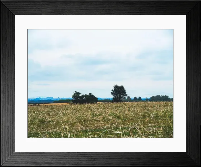 Framed Print : My Partner and I (mostly my partner) have been planning on traveling across the South Island for the pass year Framed Print : My Partner and I (mostly my partner) have been planning on traveling across the South Island for the pass year