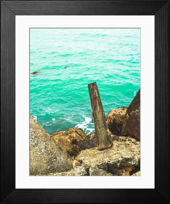 Framed Print : My Partner and I (mostly my partner) have been planning on traveling across the South Island for the pass year Framed Print : My Partner and I (mostly my partner) have been planning on traveling across the South Island for the pass year