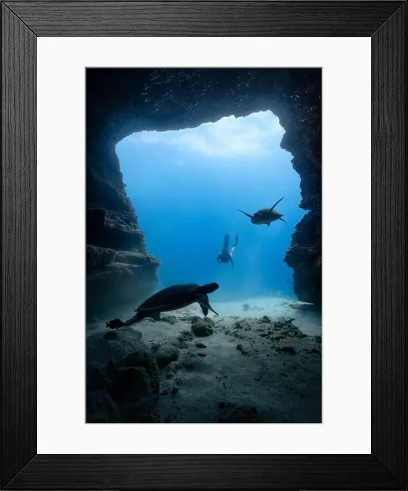 Framed Print : A young female free diving down into a cave doorway accompanied by a green sea turtle with clear blue water Framed Print : A young female free diving down into a cave doorway accompanied by a green sea turtle with clear blue water