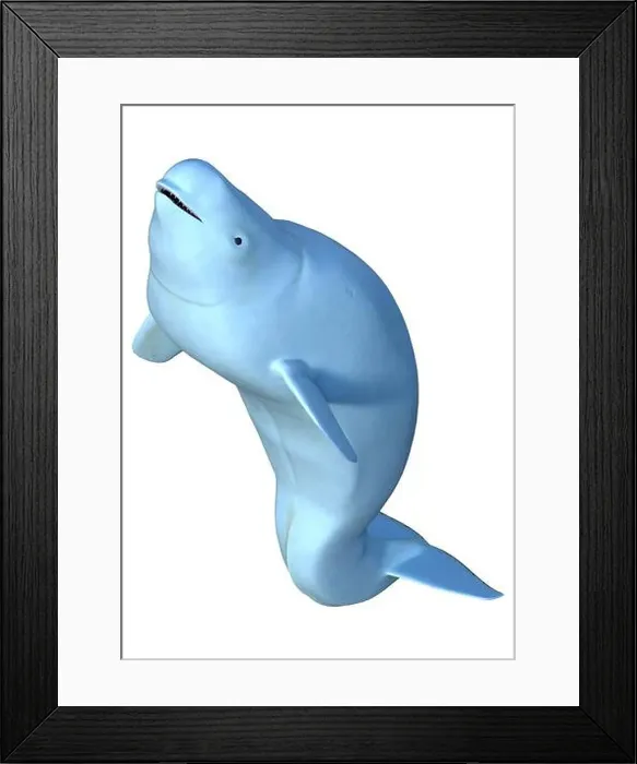 Framed Print : 3D rendering of a female beluga white whale isolated on white background Framed Print : 3D rendering of a female beluga white whale isolated on white background