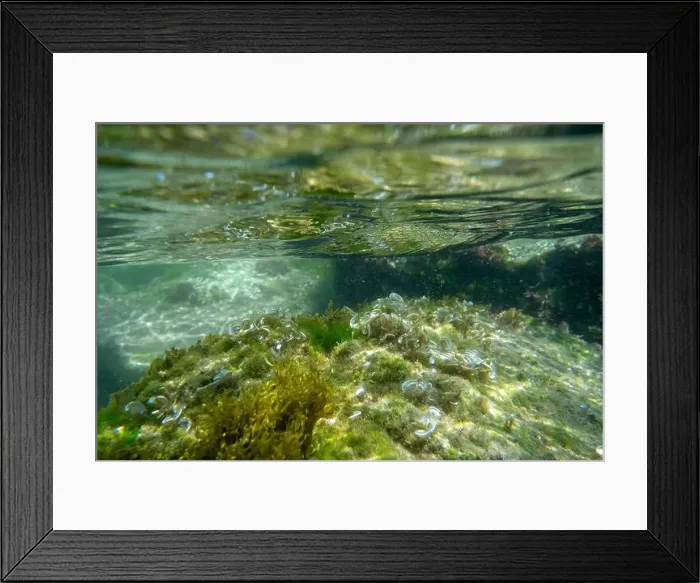 Framed Print : Algae rock underwater green reflection. High quality photo Framed Print : Algae rock underwater green reflection. High quality photo