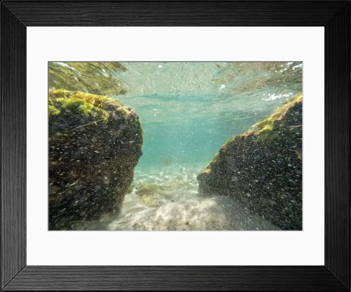Framed Print : Algae rock underwater green reflection. High quality photo Framed Print : Algae rock underwater green reflection. High quality photo