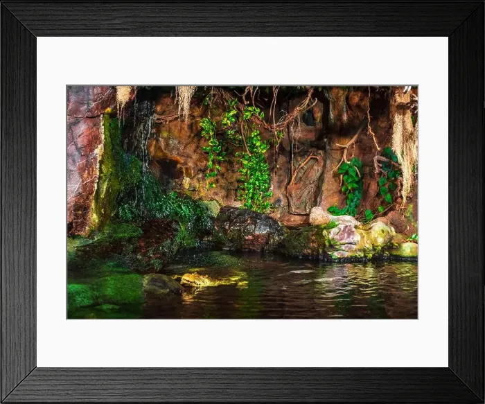 Framed Print : The Nile crocodile climbed out of the water. An aquarium aviary that imitates a natural habitat
