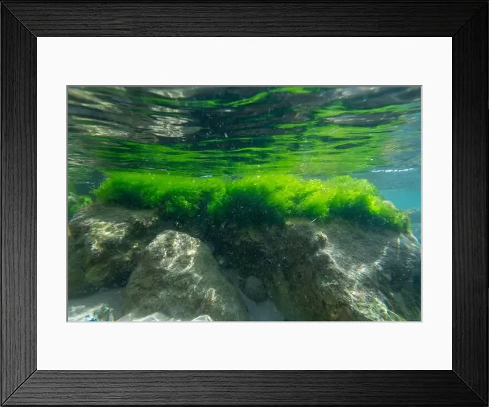 Framed Print : Algae rock underwater green reflection. High quality photo Framed Print : Algae rock underwater green reflection. High quality photo