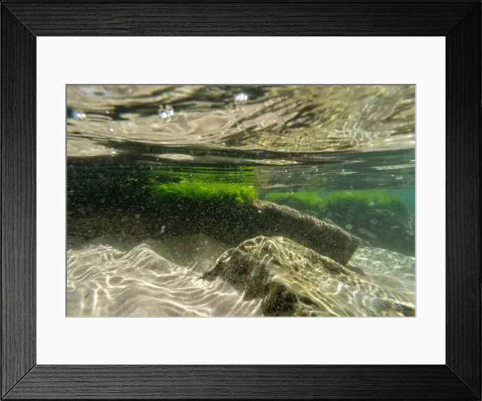 Framed Print : Algae rock underwater green reflection. High quality photo Framed Print : Algae rock underwater green reflection. High quality photo