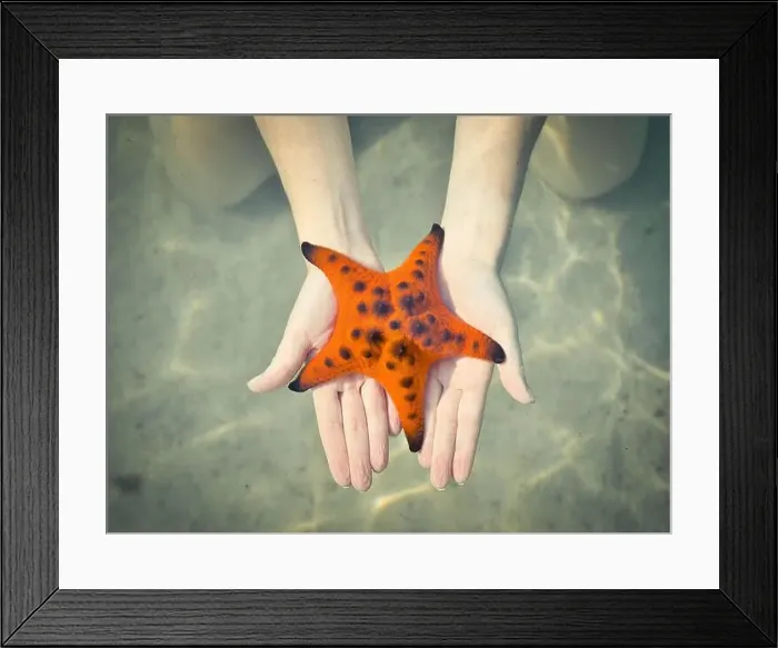 Framed Print : Serene Moments at Starfish Beach Framed Print : Serene Moments at Starfish Beach