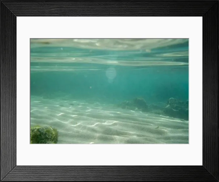 Framed Print : Algae rock underwater green reflection. High quality photo Framed Print : Algae rock underwater green reflection. High quality photo