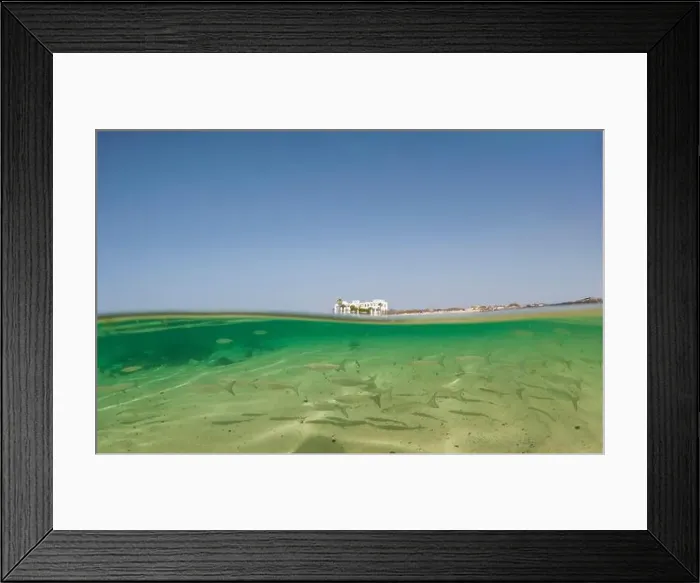 Framed Print : View of serene beach and underwater life Framed Print : View of serene beach and underwater life