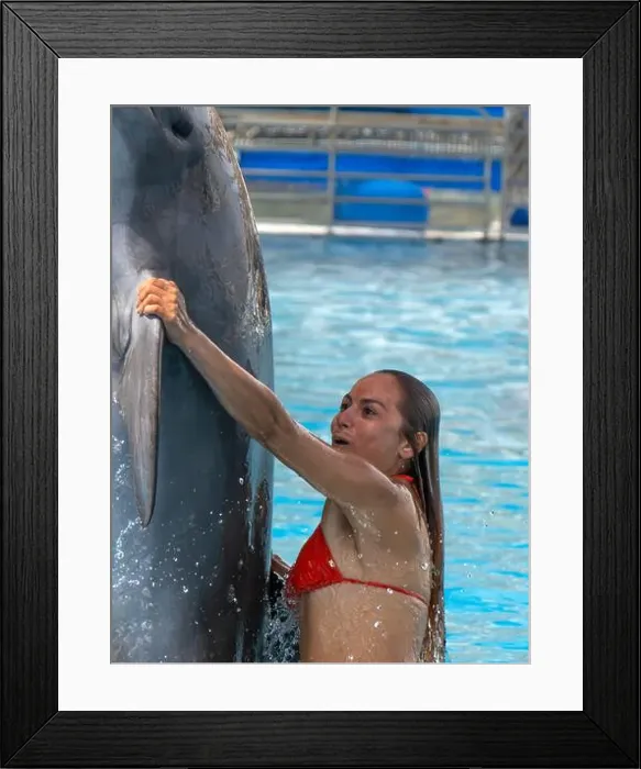 Framed Print : An Happy red hair latina girl swimming with a dolphin