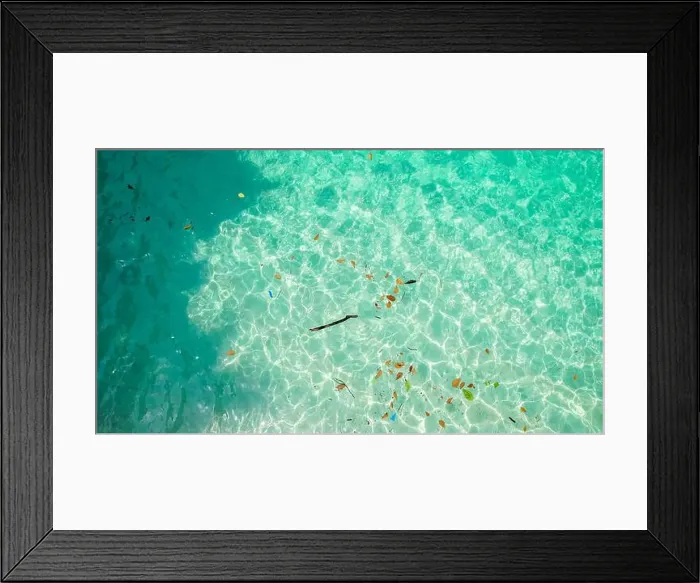 Framed Print : The Numerous fish swim in clear turquoise sea of Bateria beach in Sao Tome, Africa Framed Print : The Numerous fish swim in clear turquoise sea of Bateria beach in Sao Tome, Africa