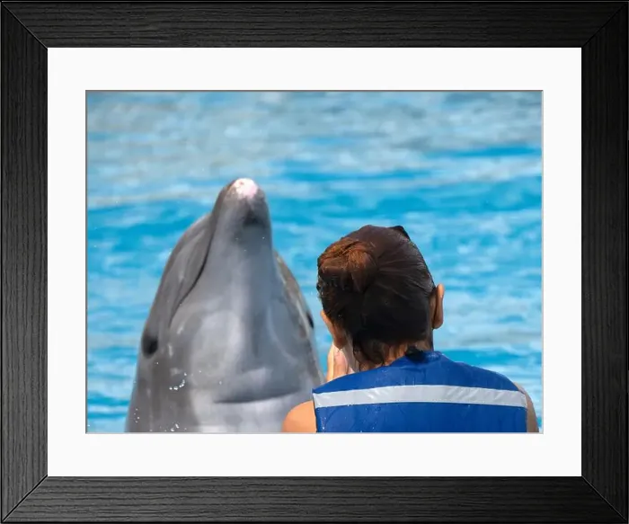 Framed Print : An Happy red hair latina girl swimming with a dolphin