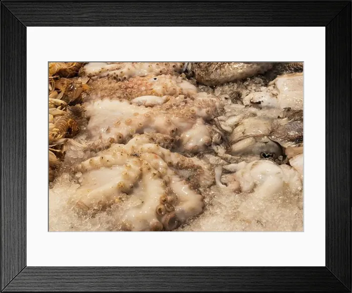 Framed Print : fish market with many different fresh fishes