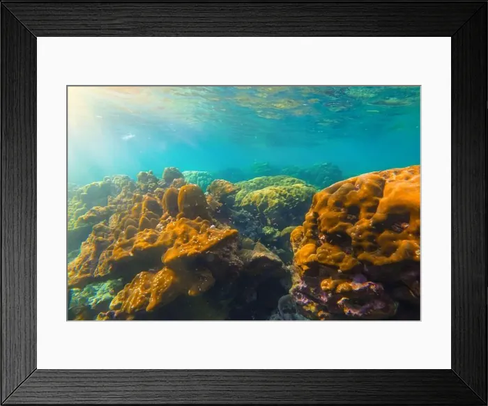 Framed Print : Tropical jungle Island And Coral Reef Split View With Waterline Framed Print : Tropical jungle Island And Coral Reef Split View With Waterline
