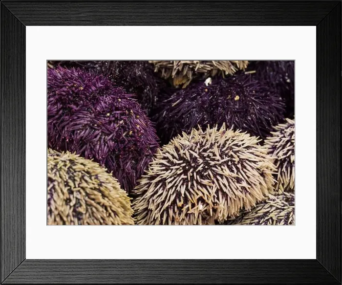 Framed Print : photo of healthy food on market Framed Print : photo of healthy food on market