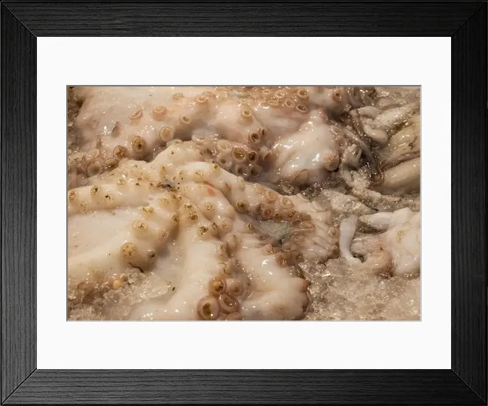Framed Print : fish market with many different fresh fishes Framed Print : fish market with many different fresh fishes